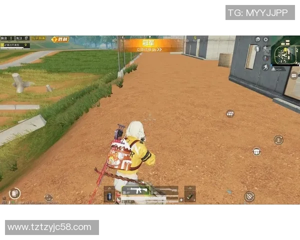 深度探讨吴秀英在和平精英中的成长与人生哲学